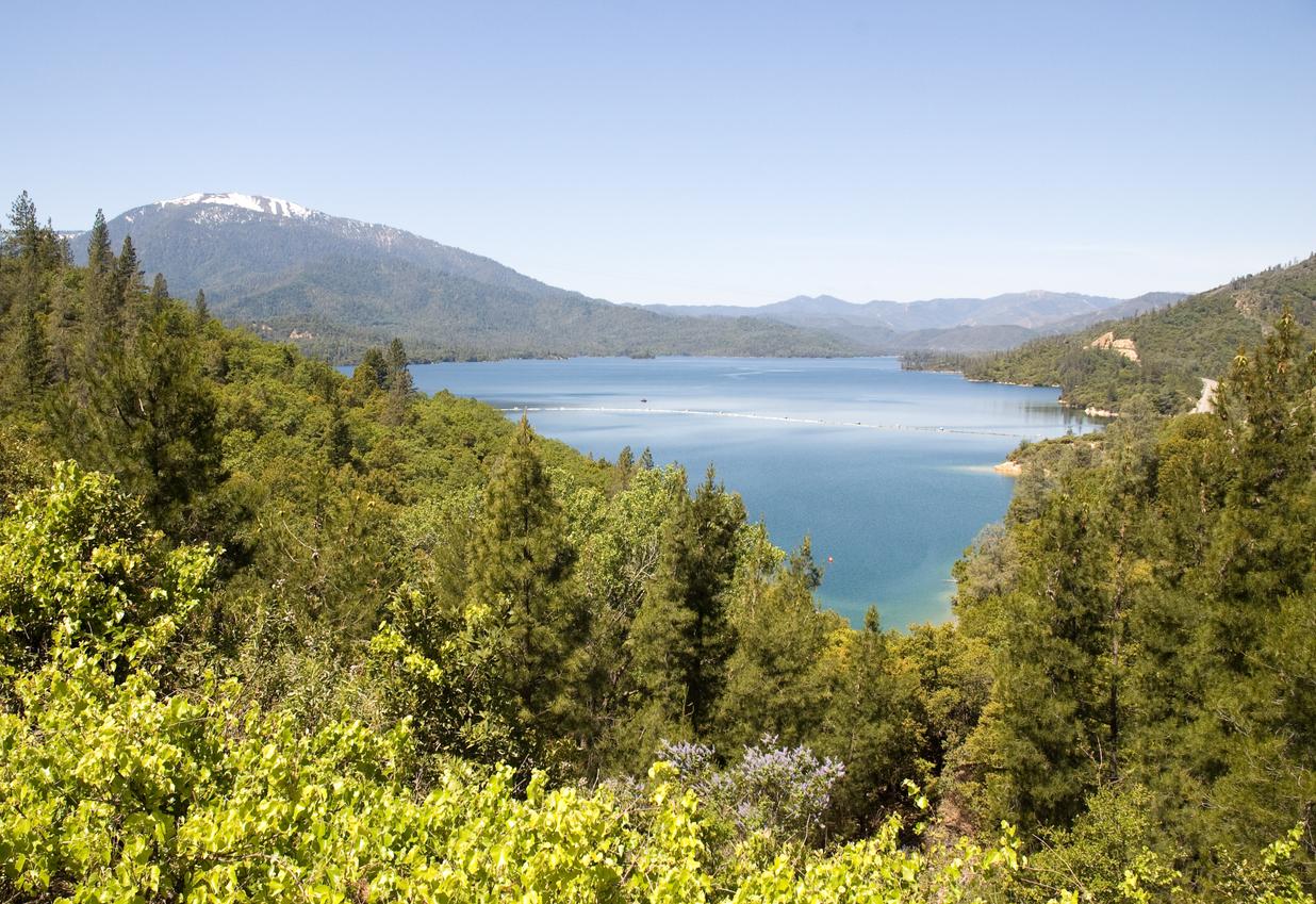 Mulched slope with tidy groundcover